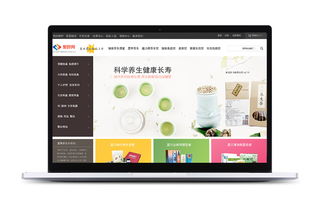 上海滬琛品牌營銷策劃公司 網頁設計與網絡營銷的領航者